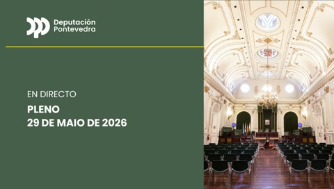 PLENO ORDINARIO 29-MAIO-2026
