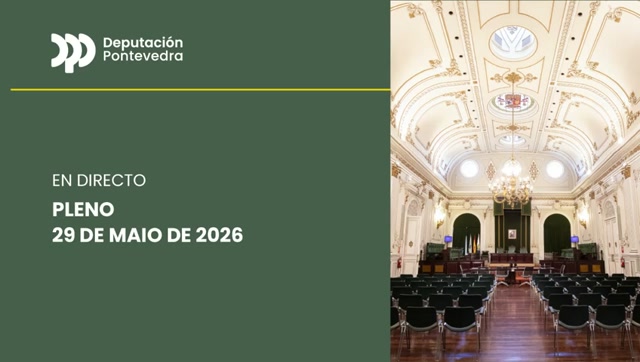 poster PLENO ORDINARIO 29-MAIO-2026